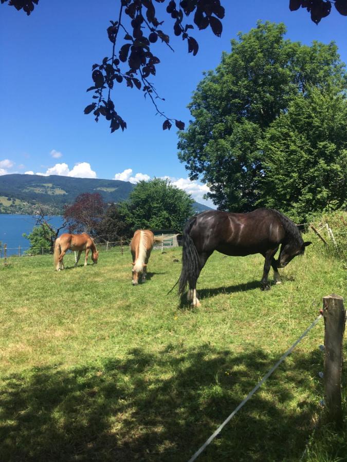 シュタインバッハ・アム・アターゼー Feichtingerhofヴィラ エクステリア 写真